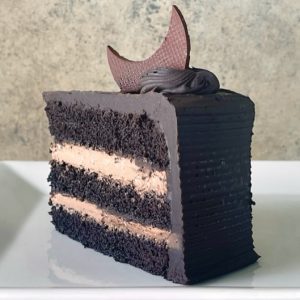 Dark Side of the Moon